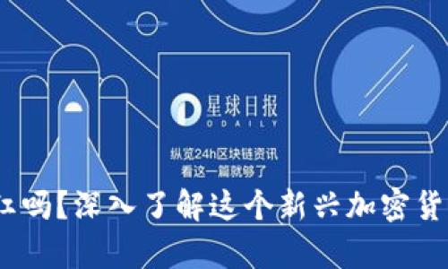  屎币提到钱包有分红吗？深入了解这个新兴加密货币的投资潜力与风险