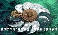 在哪里下载B特派钱包：全