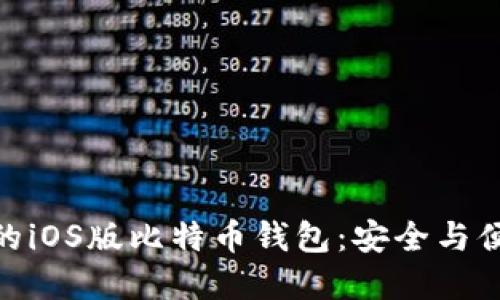 探索支持中文的iOS版比特币钱包：安全与便捷的完美结合