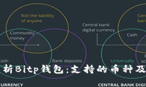 全面解析Bitp钱包：支持的币种及其应用