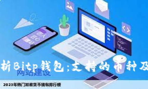 全面解析Bitp钱包：支持的币种及其应用