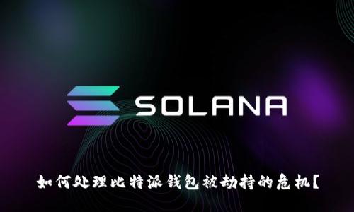 如何处理比特派钱包被劫持的危机？