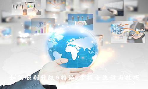 如何顺利升级B特派，掌握全流程与技巧