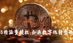 深入解析B特派查授权：企