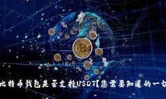 比特币钱包是否支持USDT？