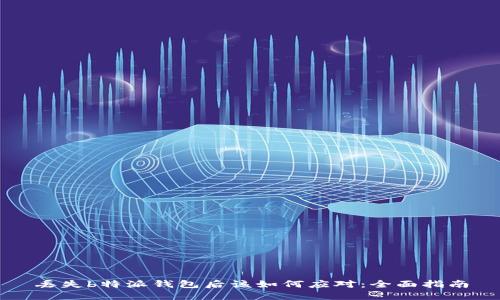 丢失b特派钱包后该如何应对：全面指南