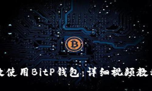 如何高效使用BitP钱包：详细视频教程及技巧
