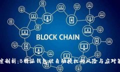 深度剖析：B特派钱包被自
